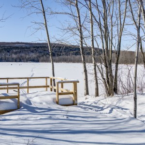 Étang Stater - Hiver 2021