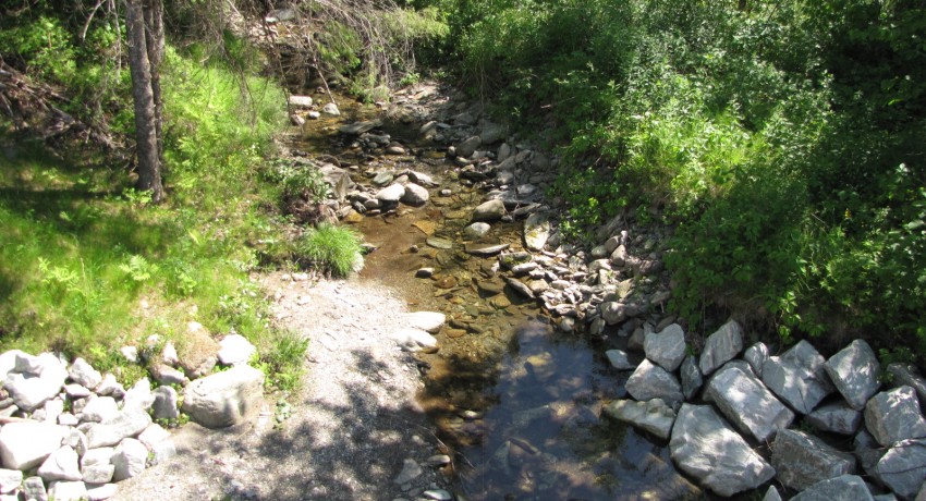 LA MAJORITÉ DES BANDES RIVERAINES SONT CONFORMES À IRLANDE
