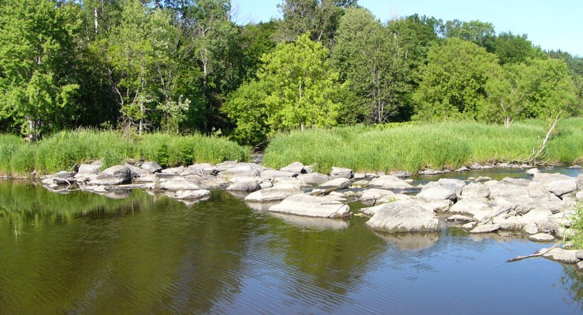 Projet de restauration du barrage de l’étang Stater : Mise à jour