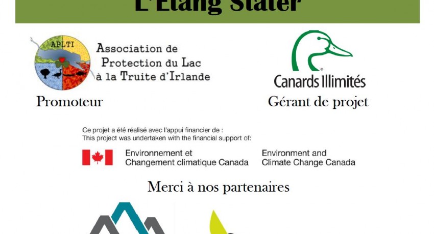 RESTAURATION BARRAGE ÉTANG STATER