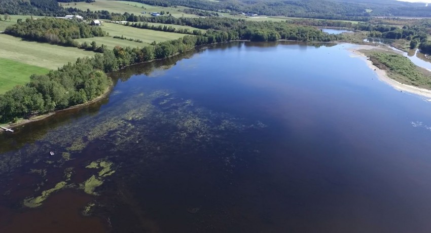 COURRIER FRONTENAC - Une autre étude d’importance pour le lac à la Truite d’Irlande