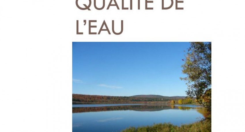 HISTORIQUE DE LA QUALITÉ DE L’EAU-SECTEUR LAC À LA TRUITE D’IRLANDE