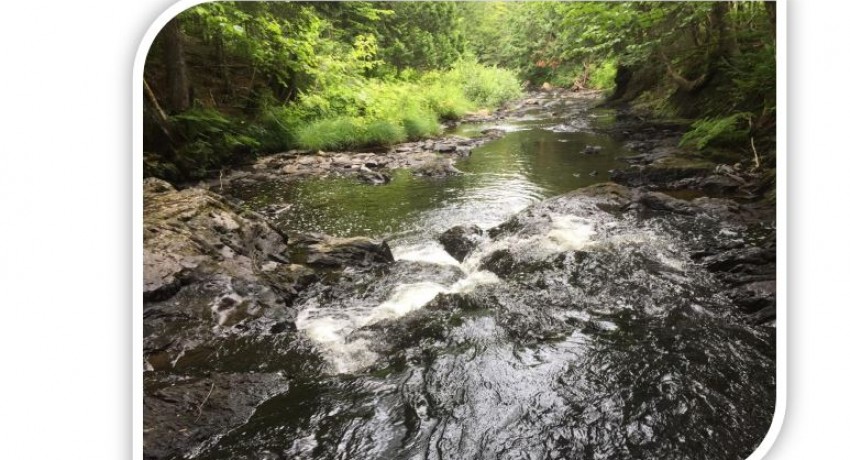 Étude et caractérisation du bassin versant de la rivière au Pin - 2017