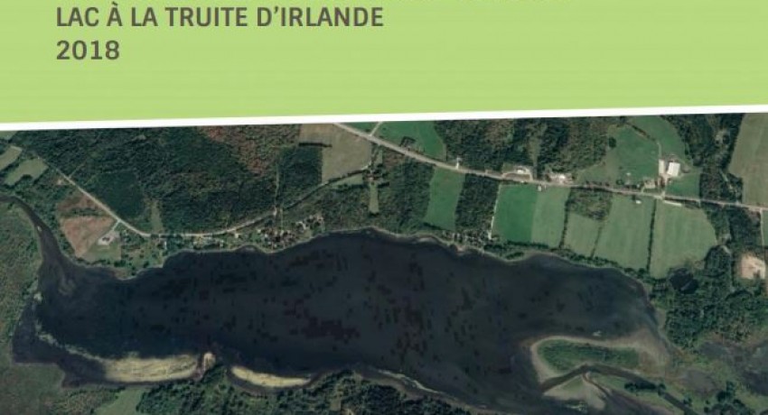 RAPPORT – SUIVI DE LA QUALITÉ DE L’EAU – ÉTÉ 2018