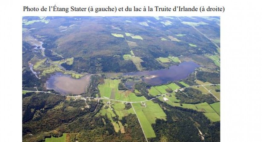 Mémoire – Lac à la Truite d’Irlande en voie de disparition