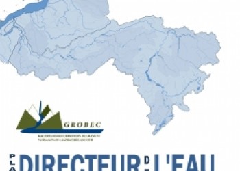BILAN DES PROBLÉMATIQUES PRIORITAIRES DU PLAN DIRECTEUR DE L'EAU