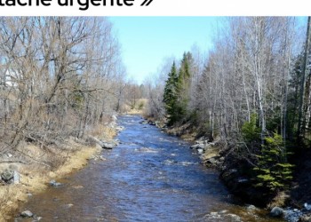 Lette ouverte Courrier Frontenac : « La rivière Bécancour, une tâche urgente » Bernard DRAINVILLE